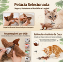 Mimo Hunter: O Pássaro Mágico que Acaba com o Tédio do seu Gato